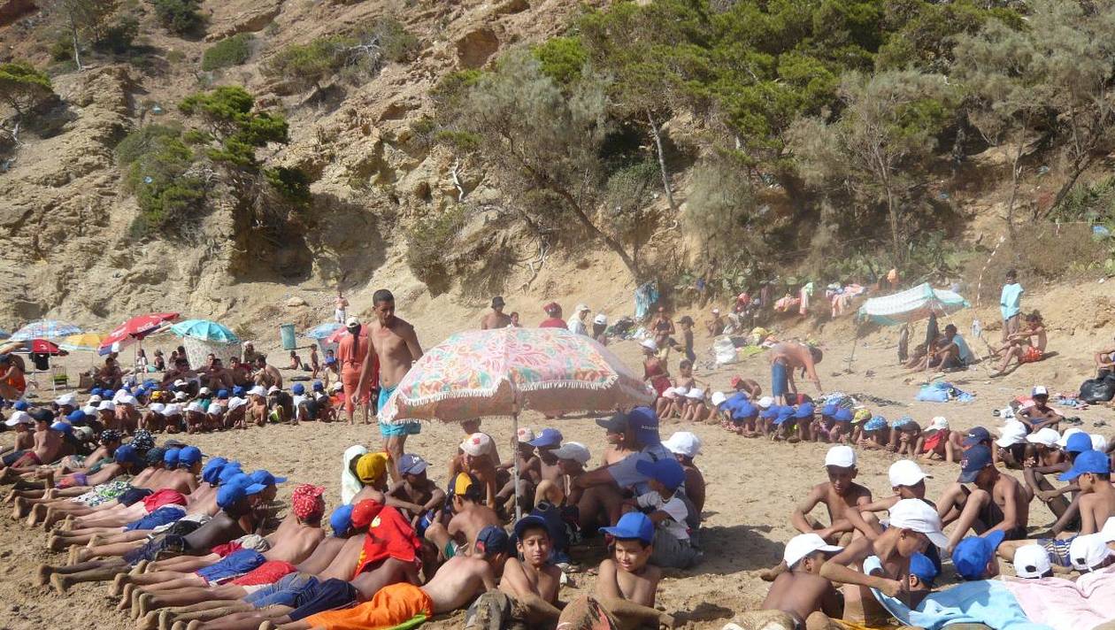 Comment signaler une colonie de vacances castastrophique ?